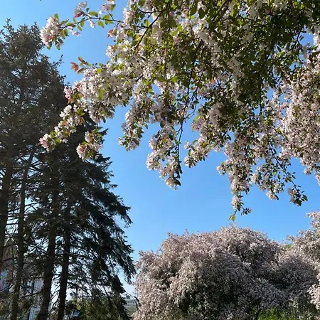 Blue Sky Apartment4Me Διαμέρισμα *